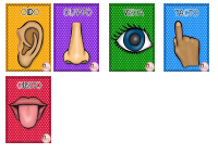 5 SENTIDOS.pdf